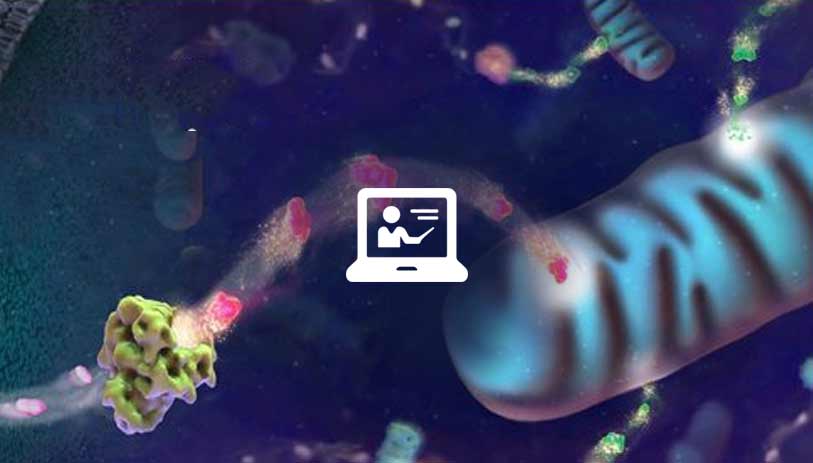 Energy Metabolism Webinar