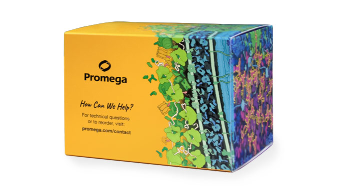 Maxwell® RSC XtractAll FFPE DNA/RNA Kit