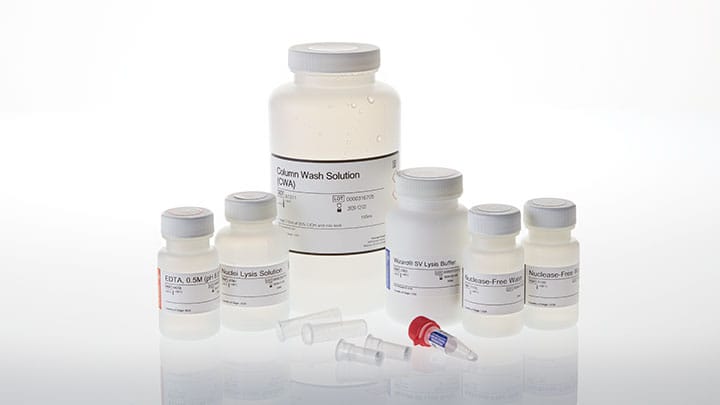 未使用品Biodroga Powdery Make Up 5箱セット　上404 Wizard® SV Genomic DNA Purification Start-Up Kit