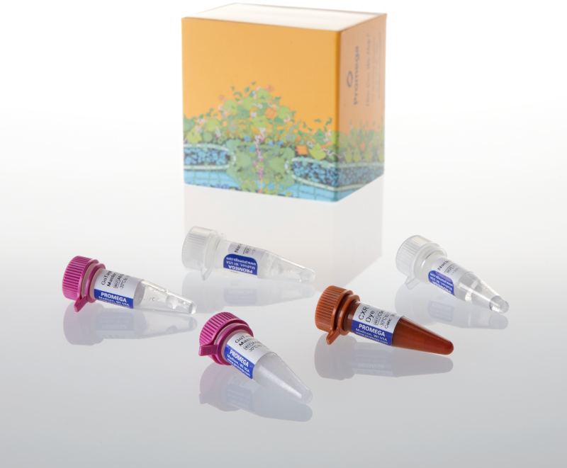 プロリッサ ピュアマック リポα GoTaq® Probe qPCR and RT-qPCR Systems | qPCR Probe | RT-qPCR Kit