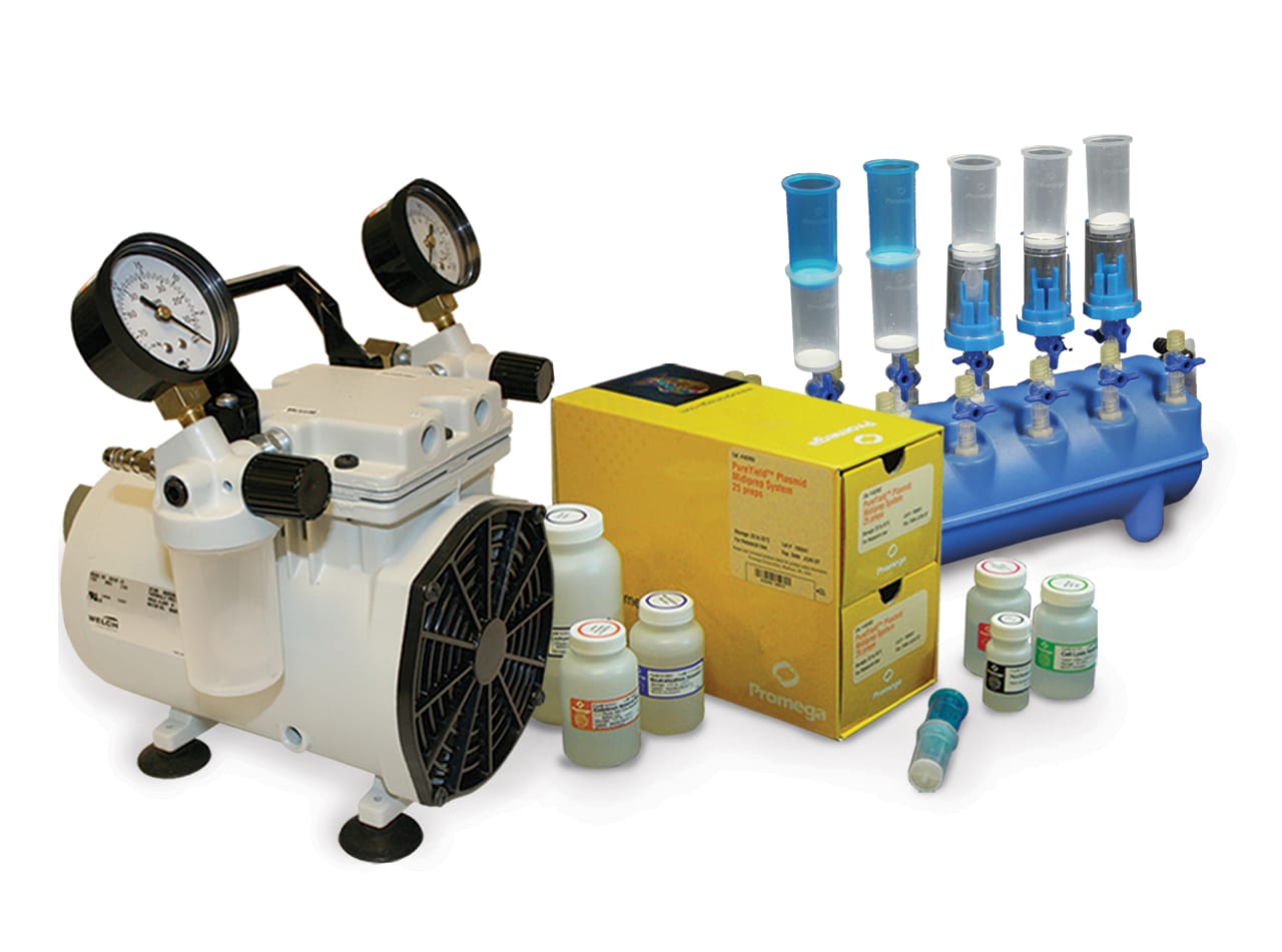 POLITEAMA ポリテアマ PureYield™ Plasmid Midiprep Start-Up Kit