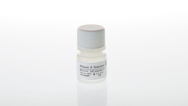 RNase A Solution 5ml