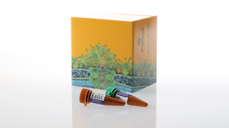 am2030ipcqpcrihibitioncontrolassaycalfluor5603