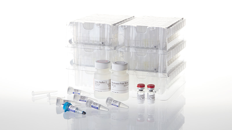 ちゃんまこ様　新品未使用品　Rab Protium 6 Maxwell® RSC miRNA from Tissue or Plasma and Serum Kits