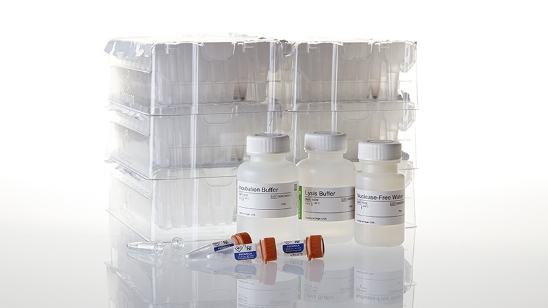 Maxwell® FFPE Plus DNA Kit Maxwell® FFPE Plus DNA Kit