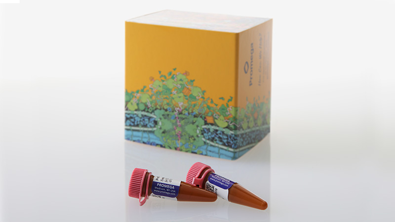 cr4696-prodye-sanger-sequencing-standard-3