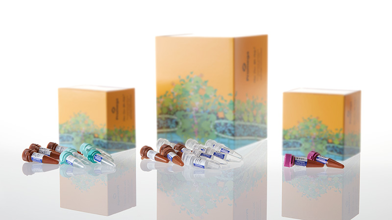 DC1620_PowerPlex--ESI-16-Fast-System--400rxn