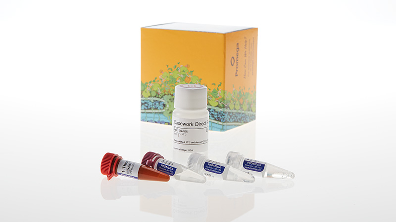 dc4561_casework-direct-