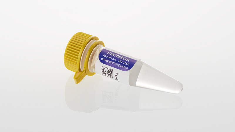 dm1601-powerplex-18e-qi-reagent