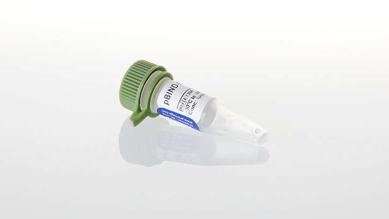 E1390_pBIND-ER-alpha--Vector--20ug_3