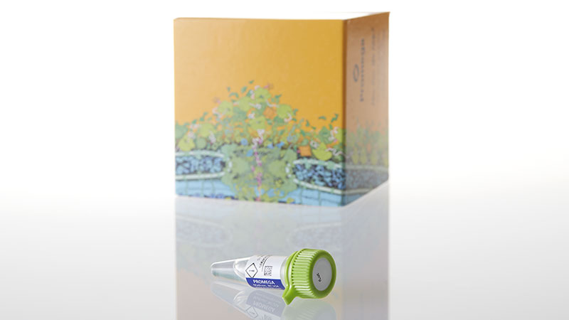 E1702_QuantiLum-Recombinant-Luciferase_3