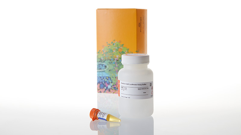 E2720_Renilla-Glo--Luciferase-Assay-System_3