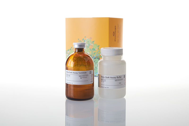 E4740_Beta-Glo--Assay-System--100ml_3