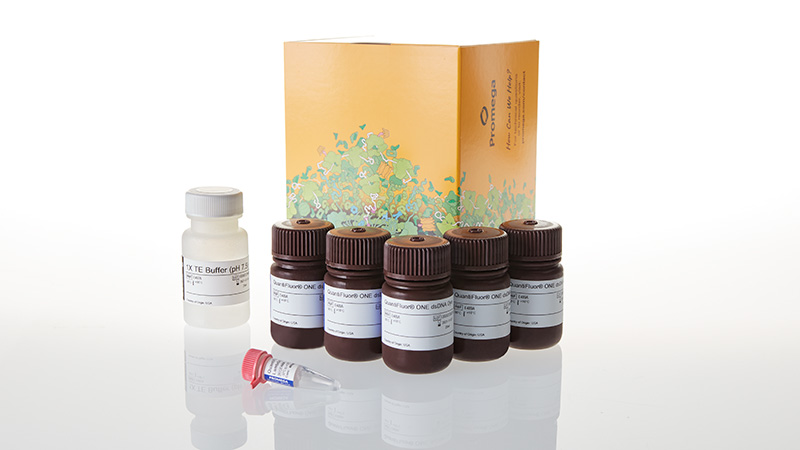 QuantiFluor ONE dsDNA System 500 reactions