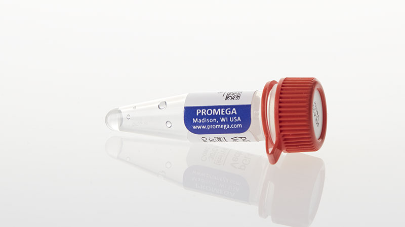 E6751_pGL4-20-luc2-Puro-Vector_3