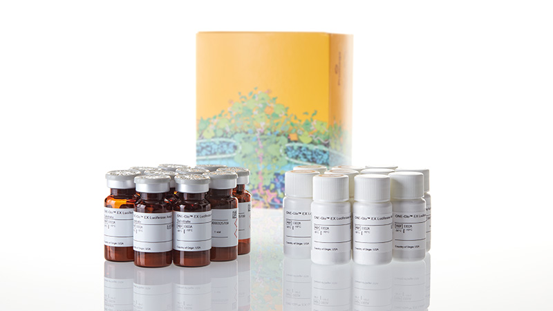 E8130_ONE-Glo--EX-Luciferase-Assay-Sy-10X10ml_3