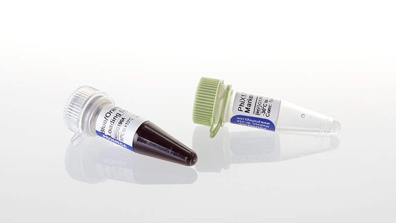 ホルモン HAE-BENSAN PROOF ΦX174 DNA/HaeIII Markers
