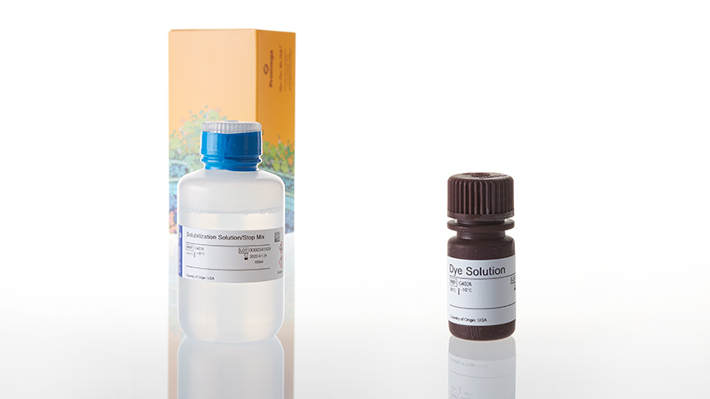 CellTiter 96® Non-Radioactive Cell Proliferation Assay (MTT) | MTT