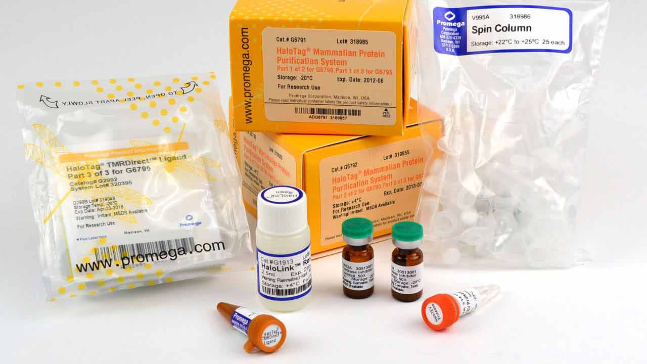 glutathione kit promega HaloTag® Mammalian Protein Purification System