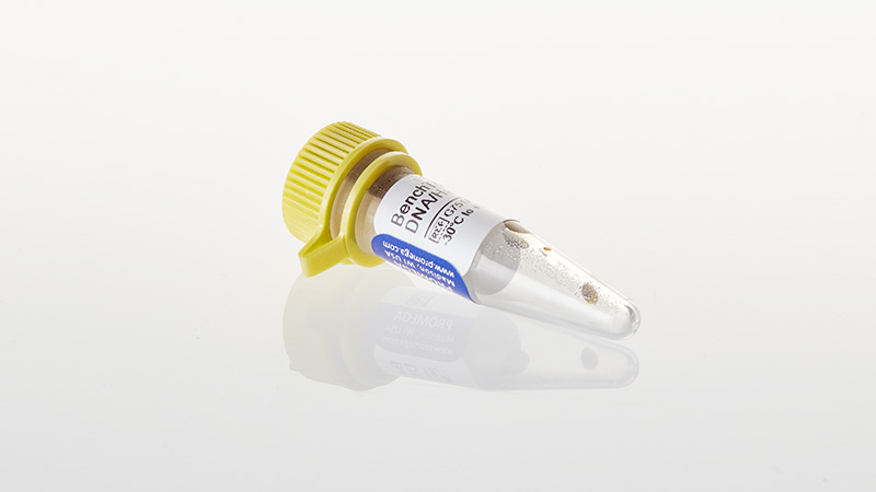 BenchTop ΦX174 DNA/HaeIII Markers