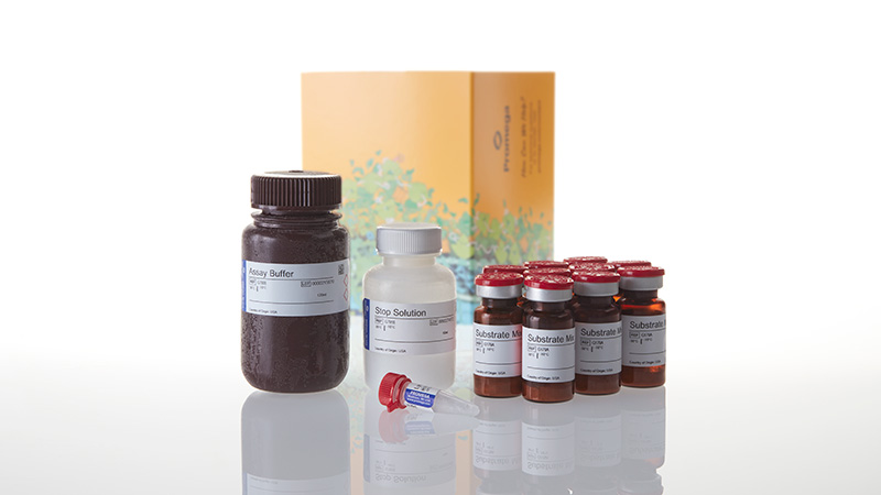 G7891_CytoTox-ONE--Homogen-Membrn-Integrity_3