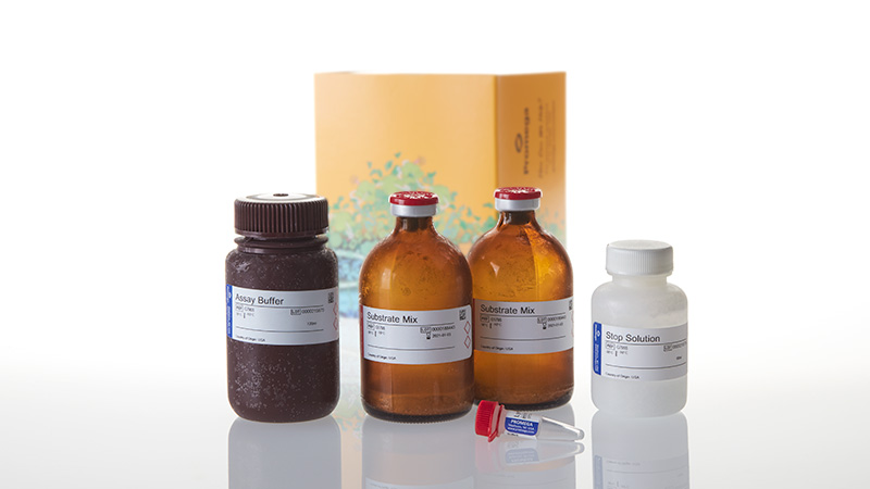 G7892_CytoTox-ONE--Homogen-Membrane-Integrity_3