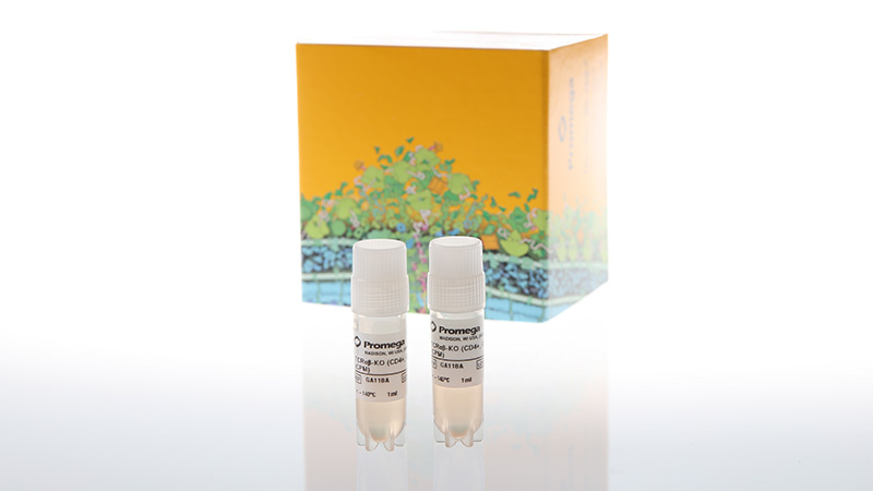 ga1182tcellactivationbioassaytcralphabetakocd4cd8propagationmodel3