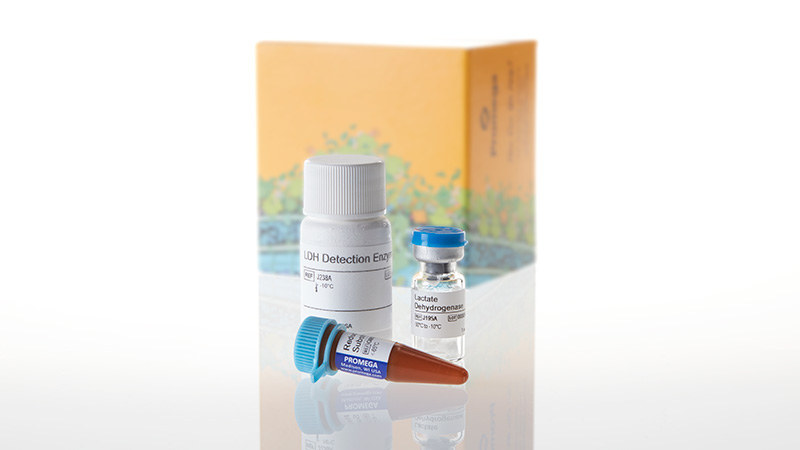 GLDHページ LDH-Glo™ Cytotoxicity Assay | LDH Assay | LDH Release | J2380