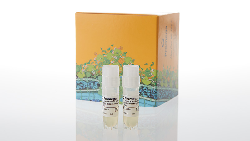 IL-2Rβγ Bioassay