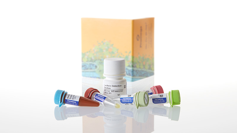 J7021_Glutamate-Glo Assay-5ml_3