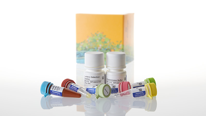 glutathione assay kit promega Glutamine/Glutamate-Glo Assay