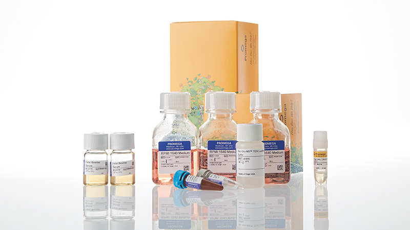 ja1261-raji-ht-hibit-cd20-ko-tck-bioassay