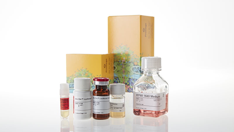 CD40 Bioassay