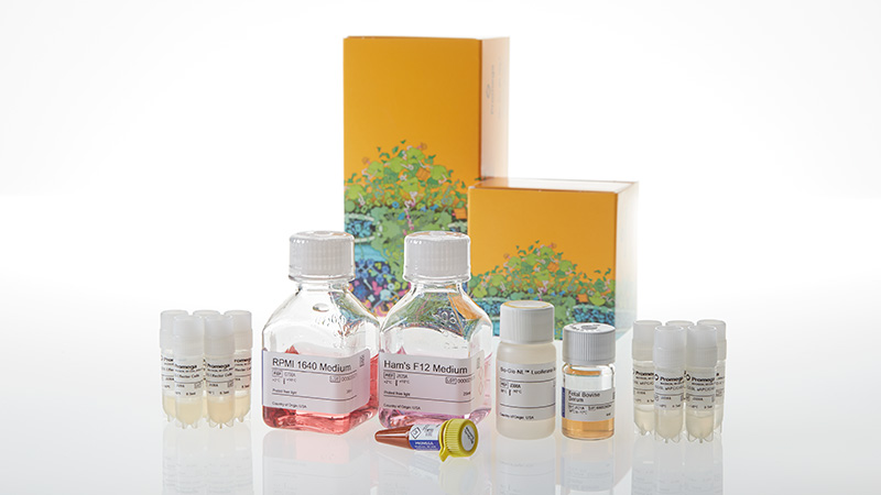 JA6005_ICOS-Blockade-Bioassay-5X_3