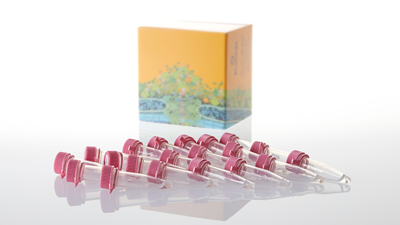 BL21(DE3)pLysS Competent Cells