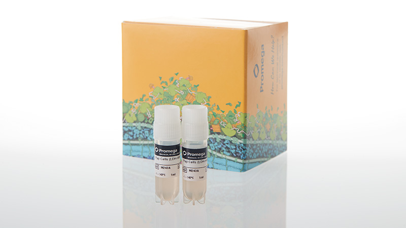 m2432-raji-ldh-hibit-tck-bioassay-propagation-model