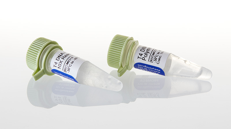 M4215_T4-DNA-Polymerase--500u_3