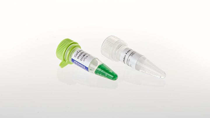 GoTaq® G2 Master Mixes | PCR Master Mix