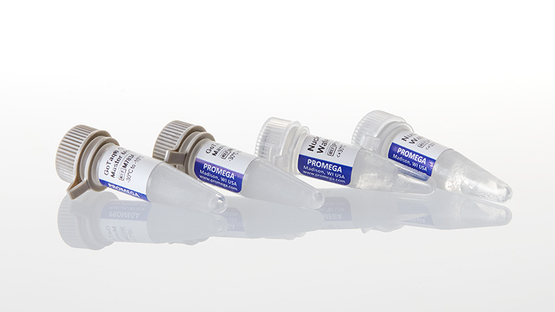 GoTaq® G2 Master Mixes | PCR Master Mix