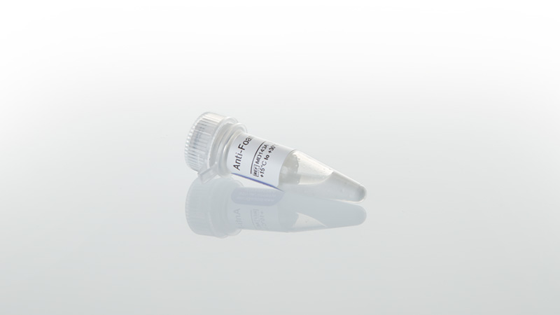 MD1431-anti-foam-reagent