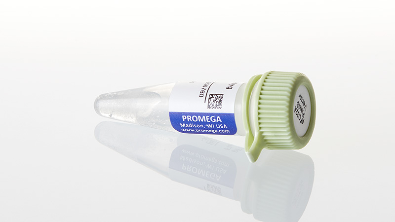 N1331_pFC32A-NLuc-CMV-Hygro-Flexi--Vector_3