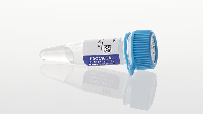 Promoterless NanoLuc® Genetic Reporter Vectors with Hygromycin