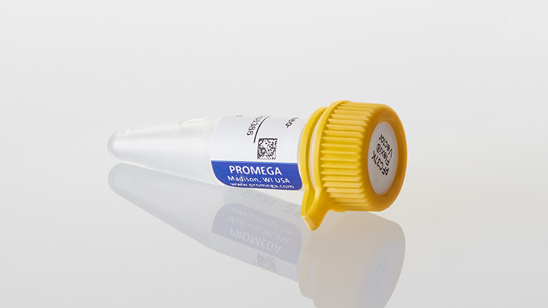 N2391_pFC37K-HiBiT-CMV-neo-Flexi--Vector_3