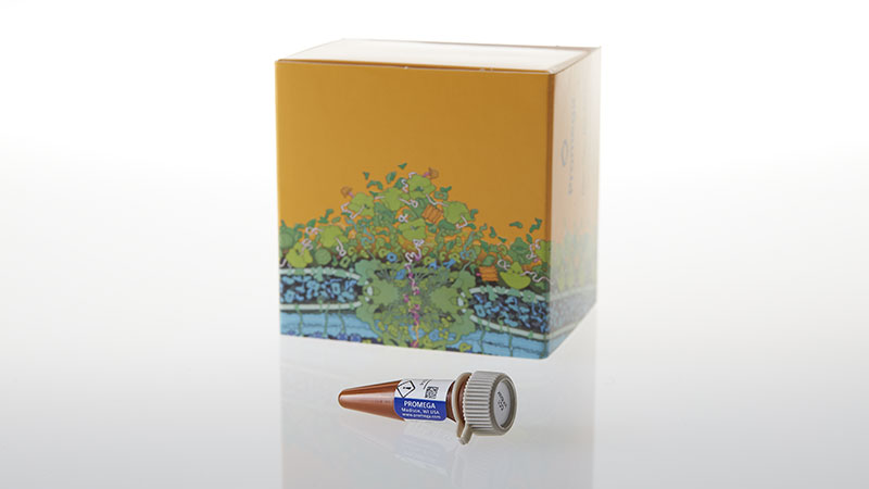 N2661_CC1-pan-Kinase-Inhibitor--100ul_3