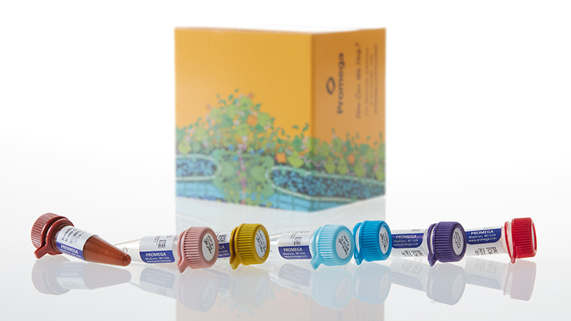 ND2730_NanoBRET--Proteasomal-Recruitment-Starter-Kit_3