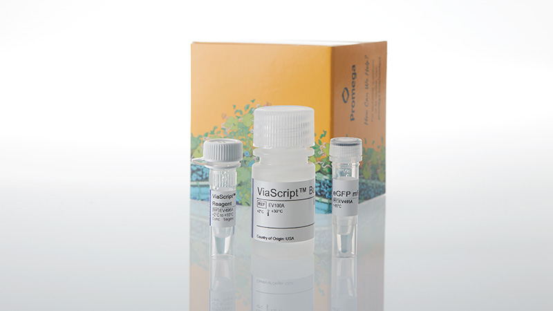 ne1100-viascript-mrna-transfection-reagent-plus-egfp-10-plates