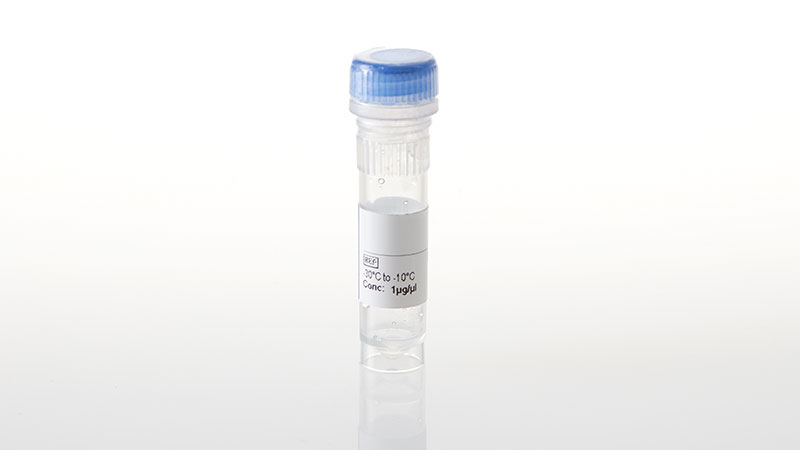 NV2391_ACVRL1-NanoLuc-