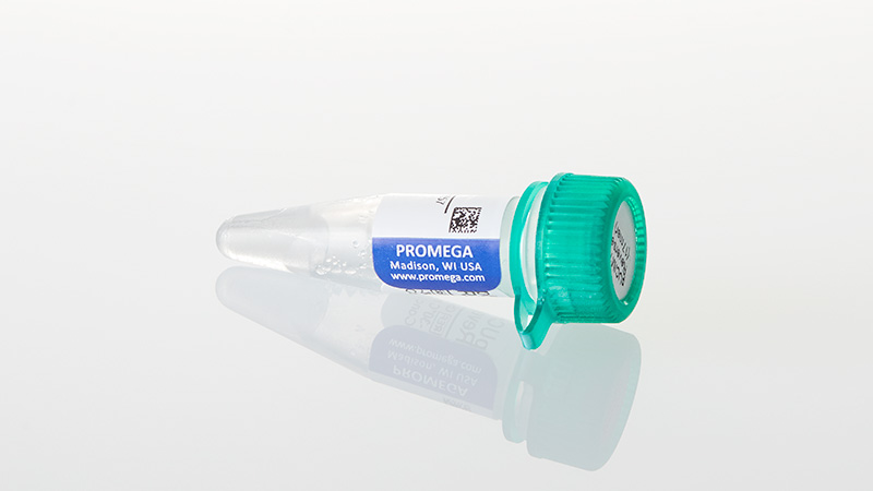 pUC/M13 Sequencing Primers