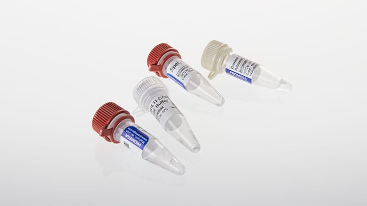 R6591-spei-gq
