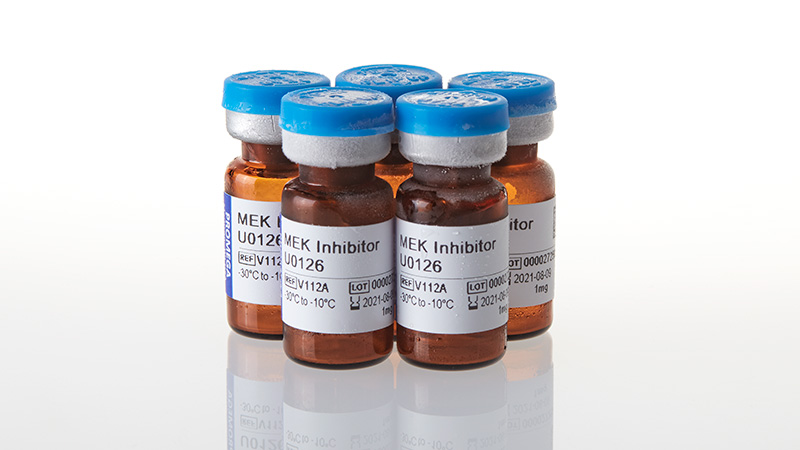 v1121_mek-inhibitor-u0126--